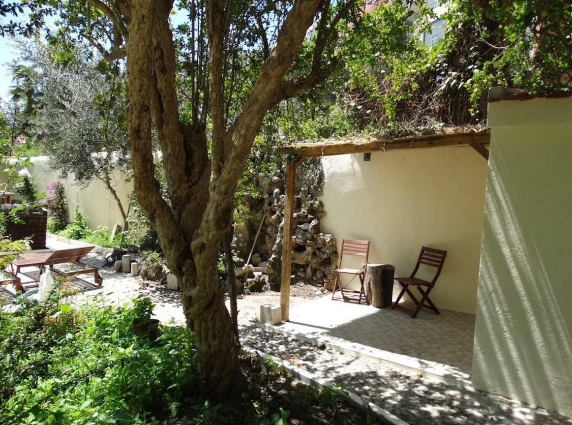Graca Palace With Private Pool Garden Lejlighed Lisboa