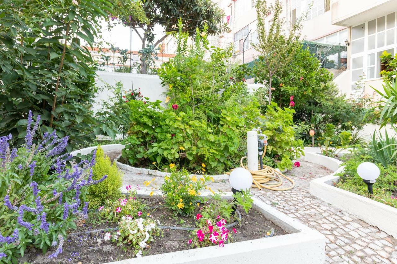 Graca Palace With Private Pool Garden Lejlighed